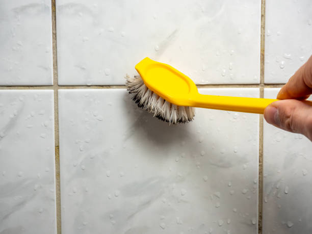 Reliable Trowbridge Park, MI Mold Remediation Solutions