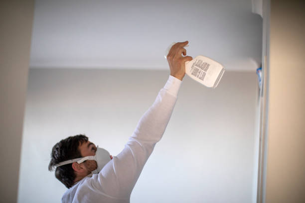 Best DIY Mold Remediation Support Services in Trowbridge Park, MI