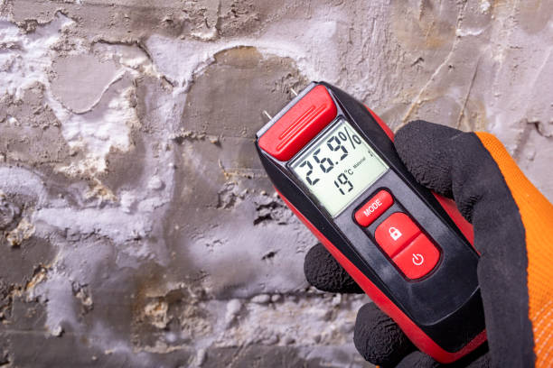 Best Health and Safety Mold Remediation in Trowbridge Park, MI