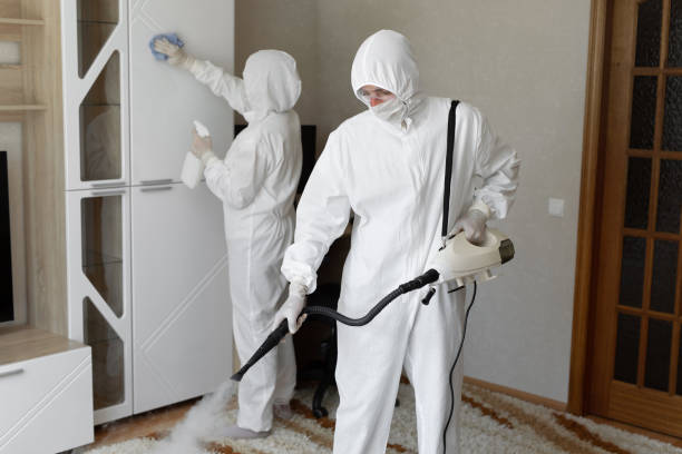 Best DIY Mold Remediation Support Services in Trowbridge Park, MI