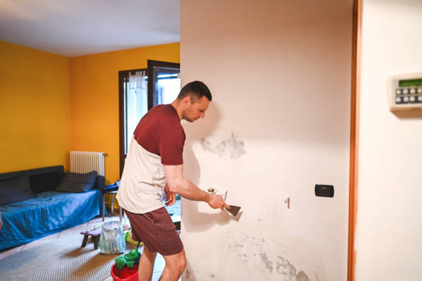 Best Attic Mold Remediation in Trowbridge Park, MI